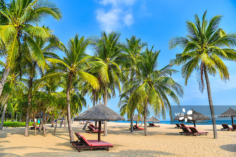 三亚沙滩上的椰树林和躺椅图片素材