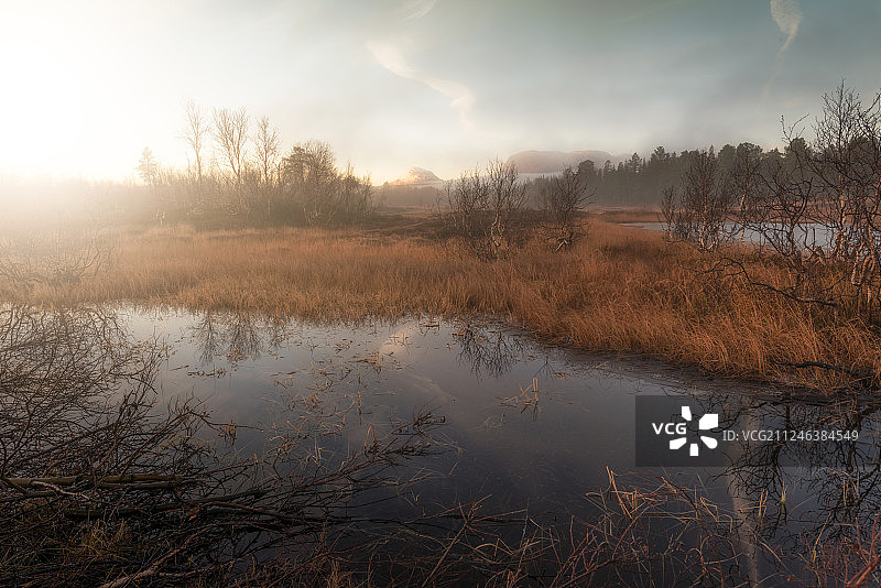 挪威的森林清晨图片素材