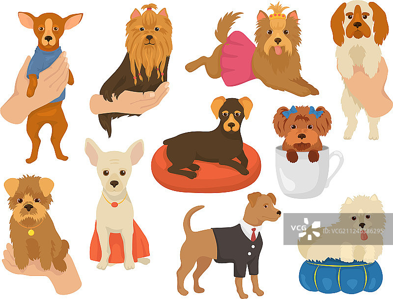 可爱的小狗宠物角色图片素材