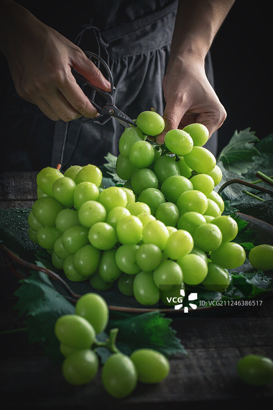 阳光玫瑰葡萄青提图片素材