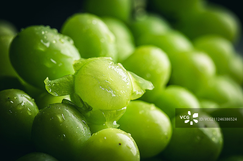 阳光玫瑰葡萄青提图片素材