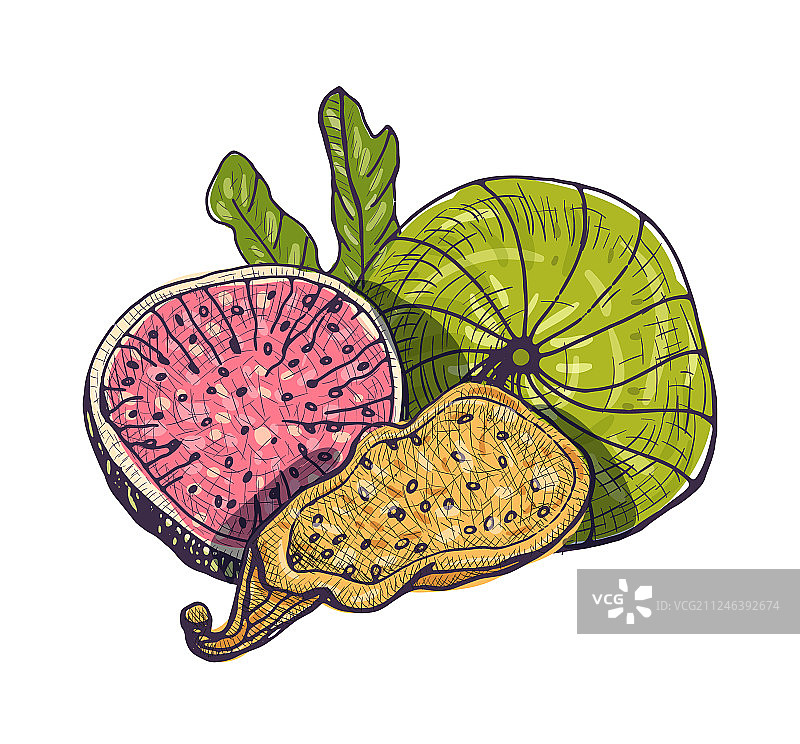 美味的新鲜无花果和无花果干图片素材