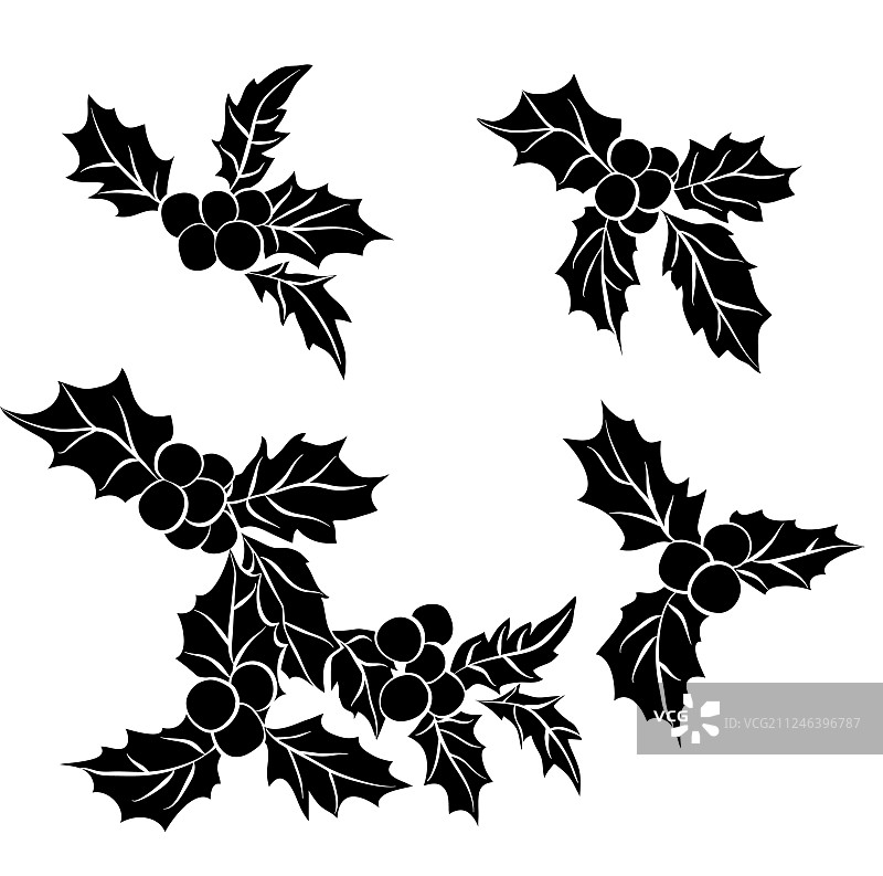 圣诞冬青叶黑色轮廓套装图片素材