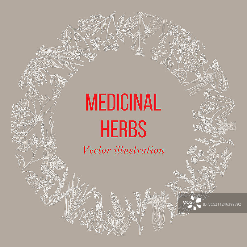 手绘药草复古收藏图片素材