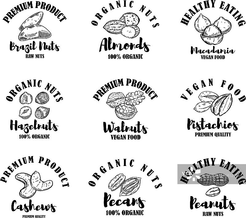 生坚果标签Logo设计元素套装图片素材