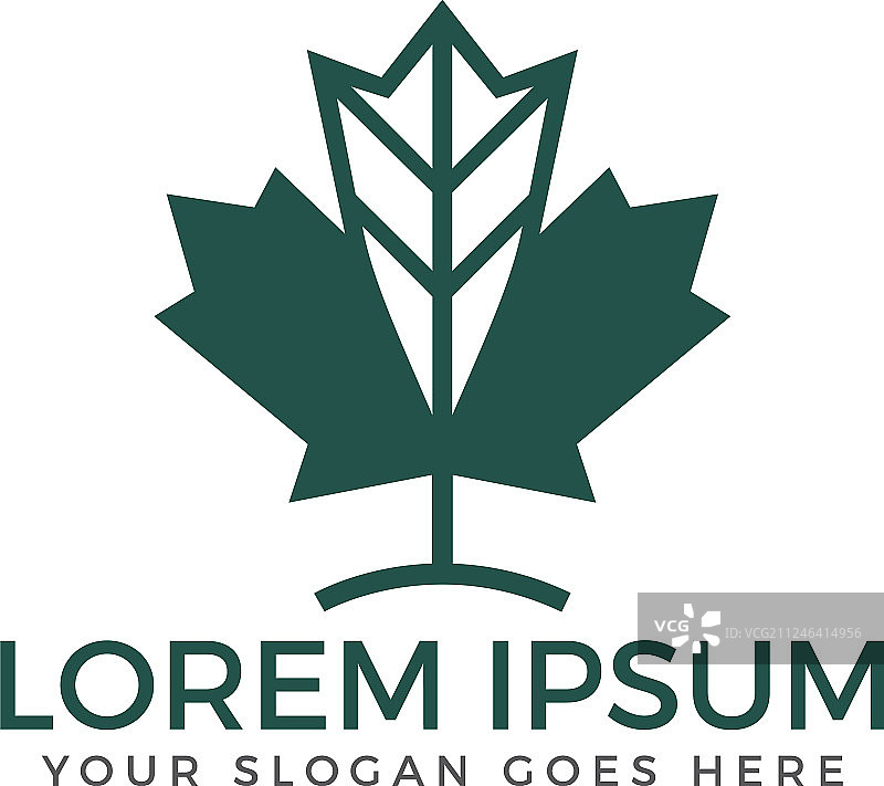 绿色枫叶Logo设计模板图片素材