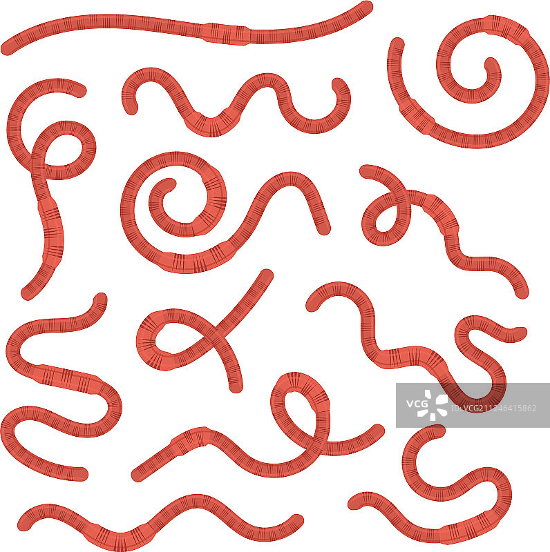 卡通蚯蚓图标集图片素材