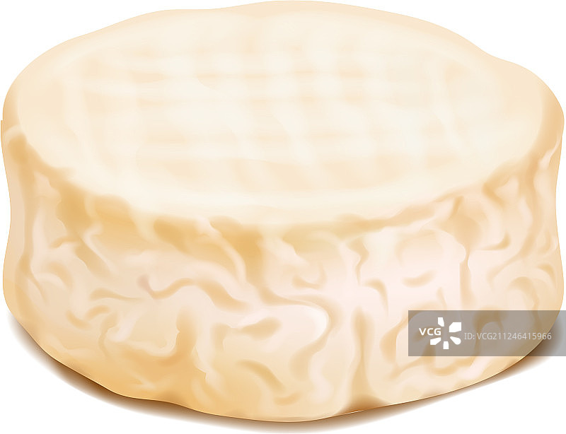 布里奶酪或卡门贝尔奶酪写实图图片素材