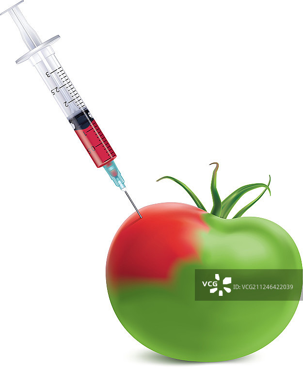 注射器食品基因改造番茄图片素材