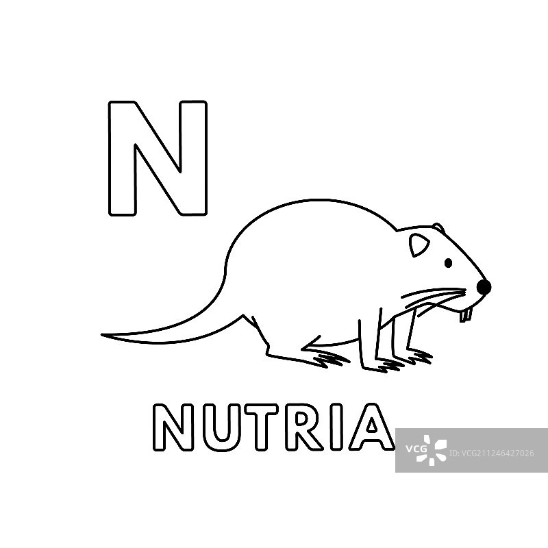 可爱的卡通动物字母：河狸图片素材