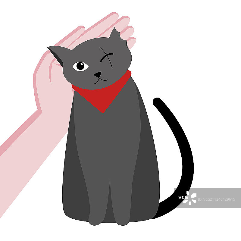 单眼可爱猫咪照顾小猫图片素材