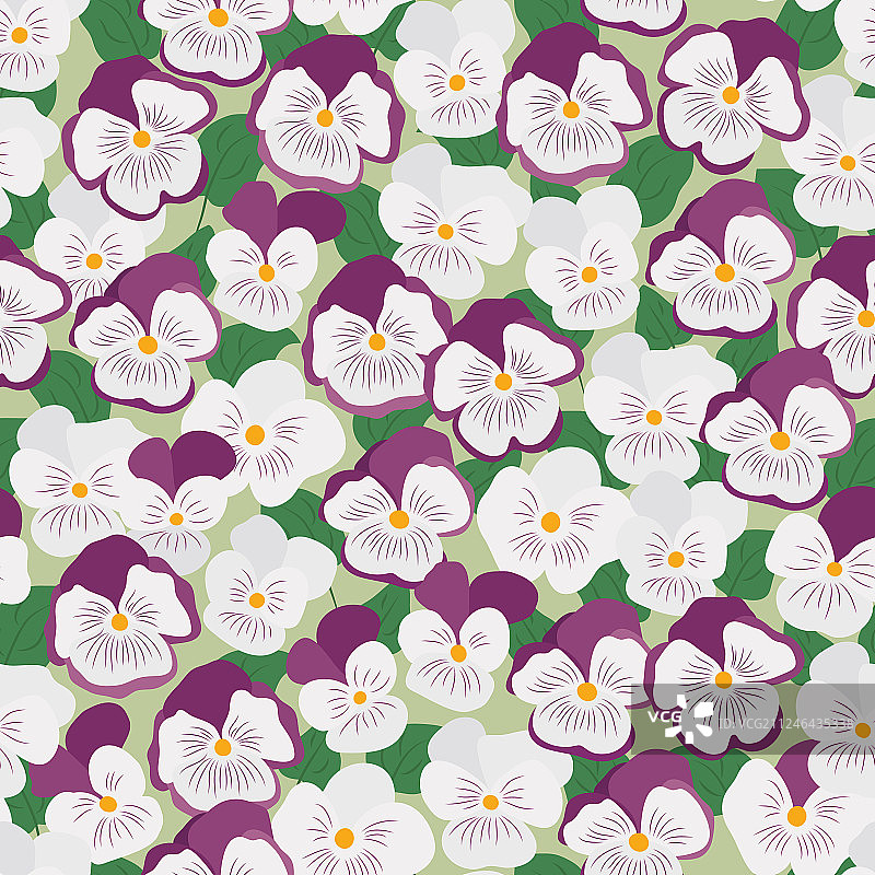 三色堇的喜悦图片素材