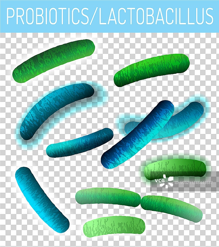 乳酸杆菌益生菌图像图片素材