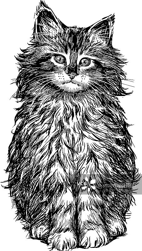 手绘坐着的蓬松小猫图片素材