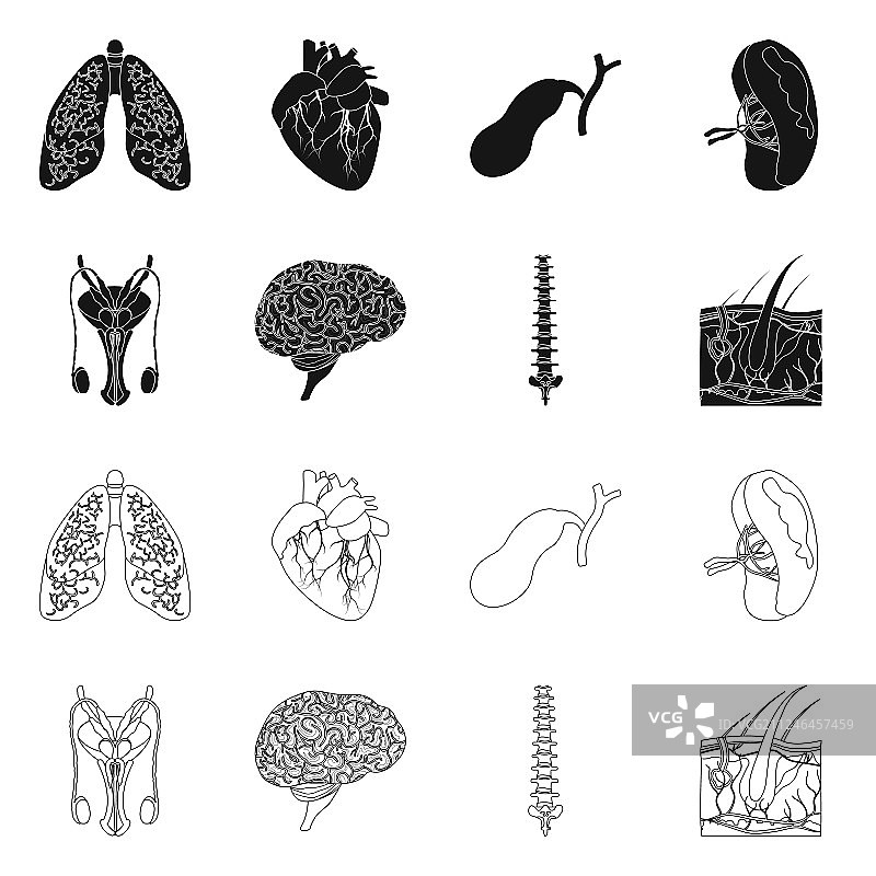 孤立物体身体和人体图标集图片素材