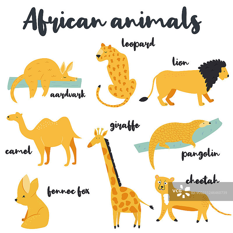 非洲动物白色背景大合集图片素材