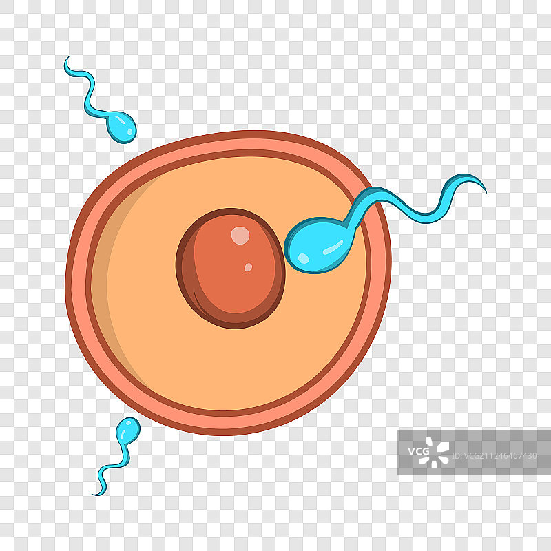 卵子受精卡通图标图片素材