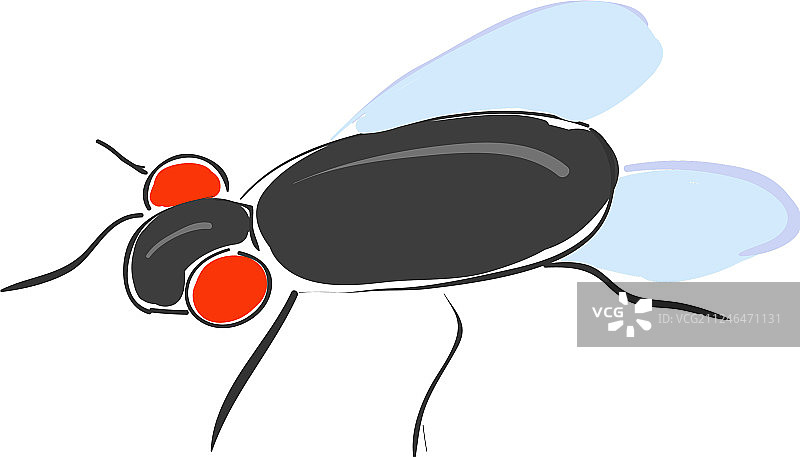 飞行或色彩图片素材