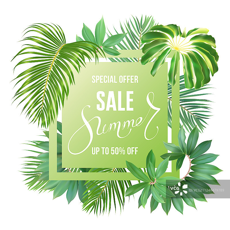 含热带树叶的夏季促销banner图片素材