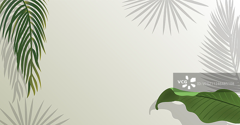 逼真绿色棕榈树叶图片素材