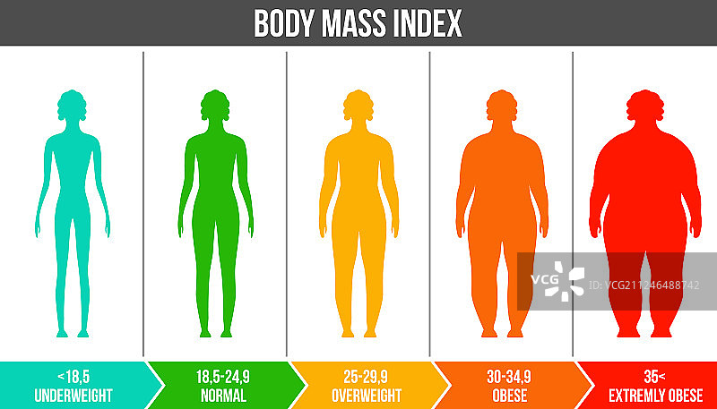 创意BMI身体质量指数图片素材