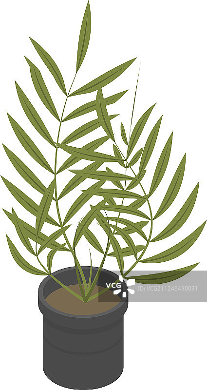 热带盆栽植物图标2.5D风格图片素材