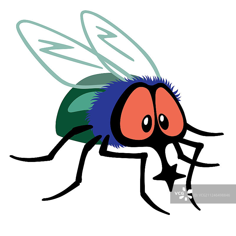 卡通苍蝇图片素材