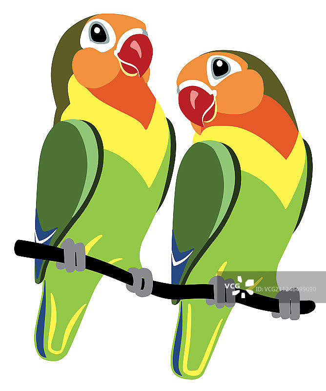卡通费希尔情侣鹦鹉图片素材