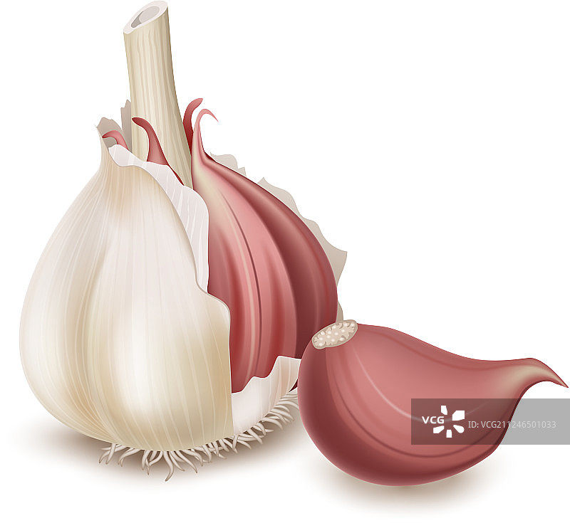 真实的大蒜孤立在白色的背景图片素材