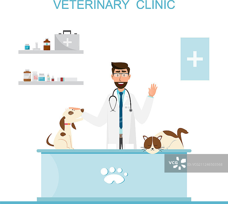 兽医和医生与宠物在柜台上图片素材