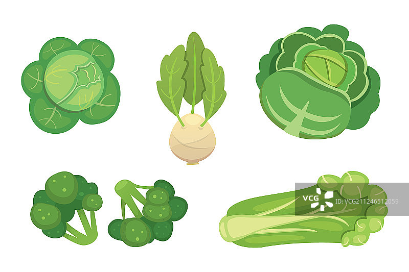 卷心菜和生菜蔬菜绿色图案图片素材