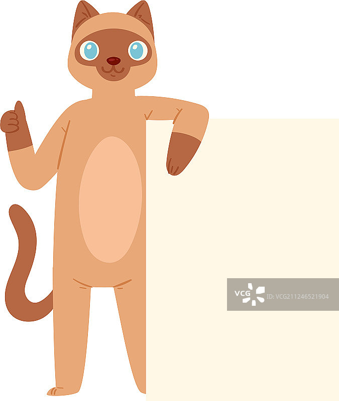 小猫探头后面的banner图片素材