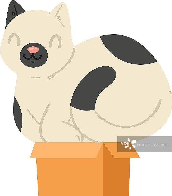 盒子里的猫咪宠物图片素材