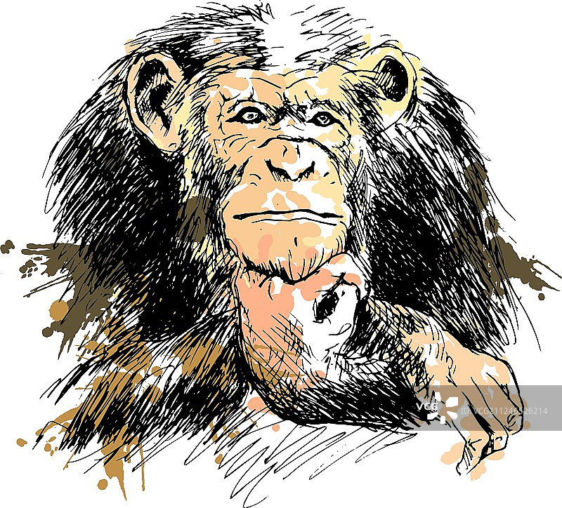 手绘彩色黑猩猩图片素材