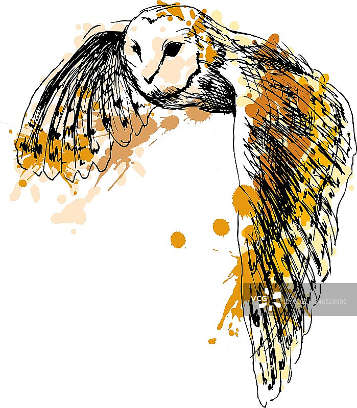 彩色手绘飞翔的猫头鹰图片素材