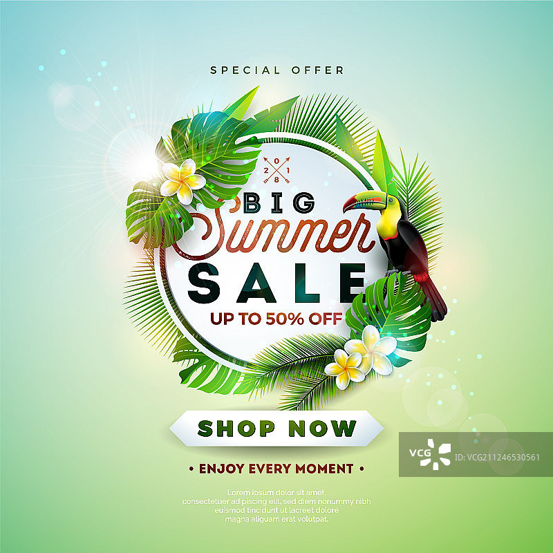 鲜花巨嘴鸟热带夏季促销设计图片素材