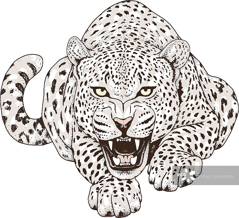 豹脸纹身印花图片素材