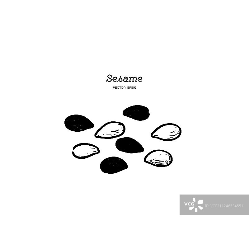 手绘芝麻图片素材