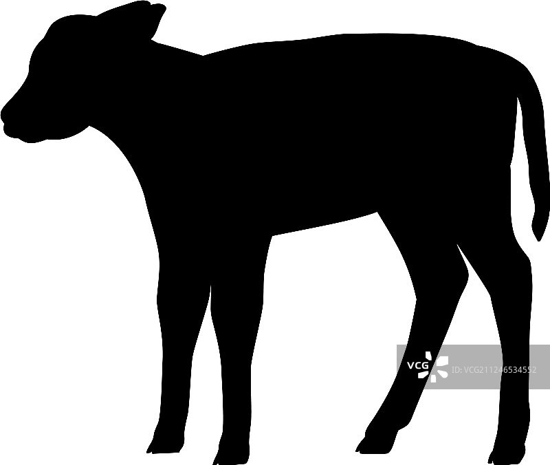 小牛农场哺乳动物黑色剪影动物图片素材