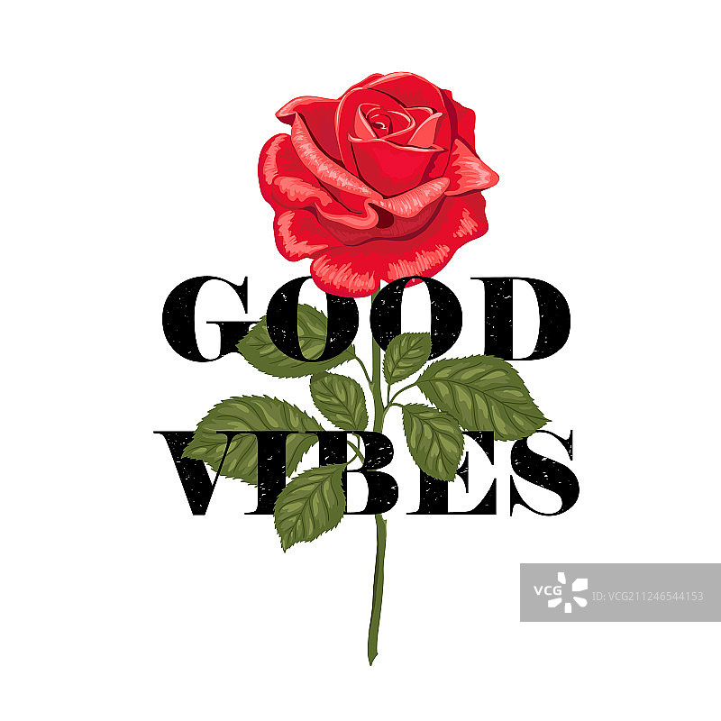 玫瑰花中积极氛围标语图片素材