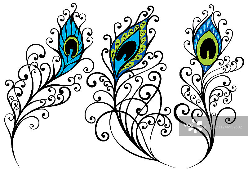 孔雀羽毛图片素材