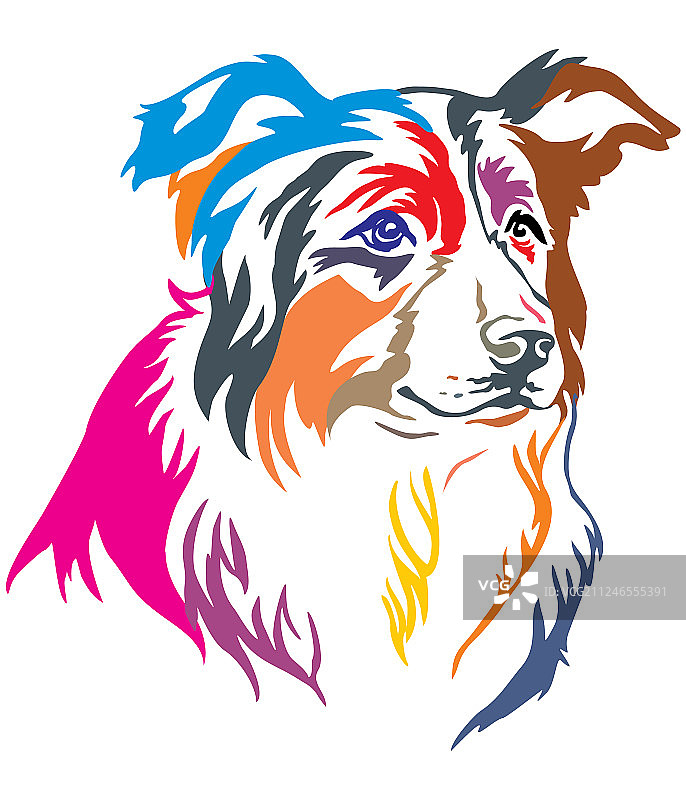 彩色装饰性边境牧羊犬肖像图片素材