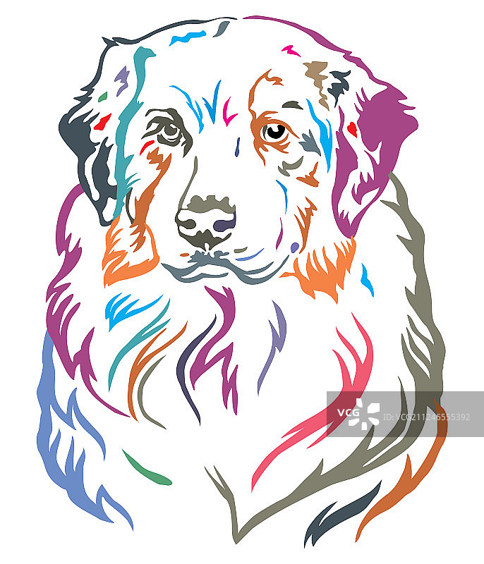 澳大利亚彩色装饰肖像图片素材