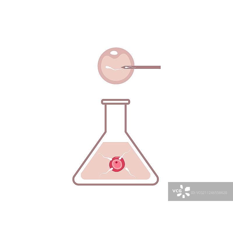 试管受精：烧瓶中的卵子和精子图片素材