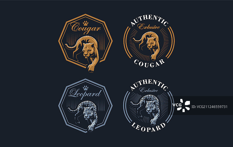 这是美洲狮或豹的形象图片素材