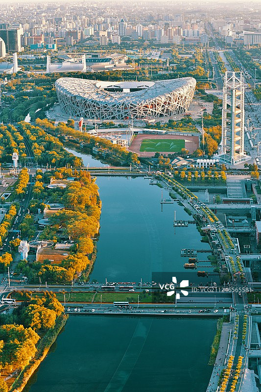 斜阳鸟巢图片素材