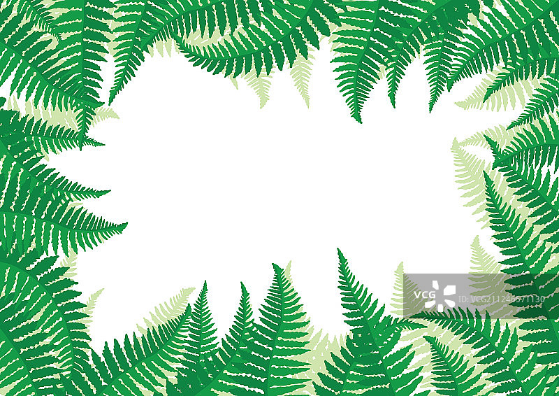蕨类叶子边框图片素材