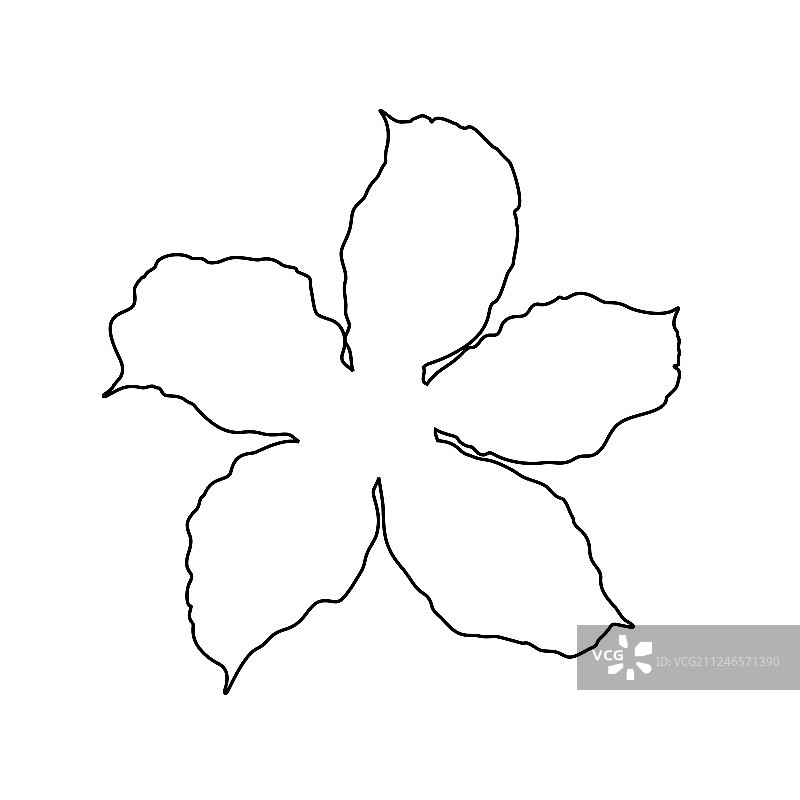 沙漠玫瑰花线条艺术风格图片素材