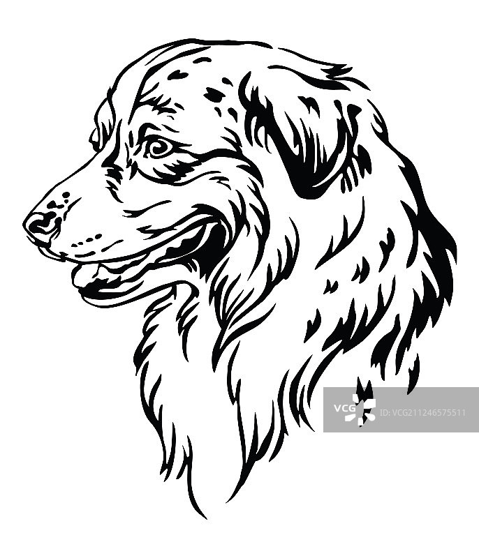 装饰澳大利亚牧羊犬画像图片素材