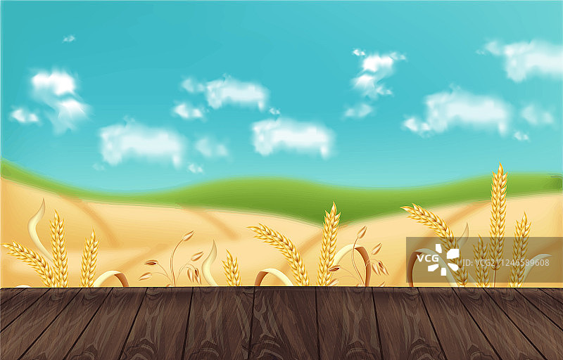 逼真燕麦田背景样机图片素材
